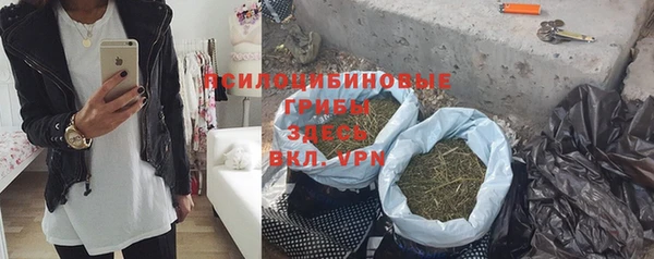 тгк Аркадак